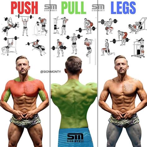 Push Pull Legs Workout Routine For Beginners For Build Muscle Fitness