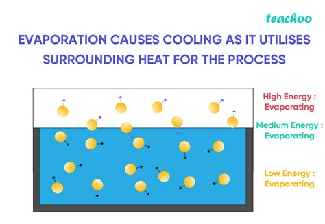 How Does Evaporation Cause Cooling Explain With Examples Teachoo