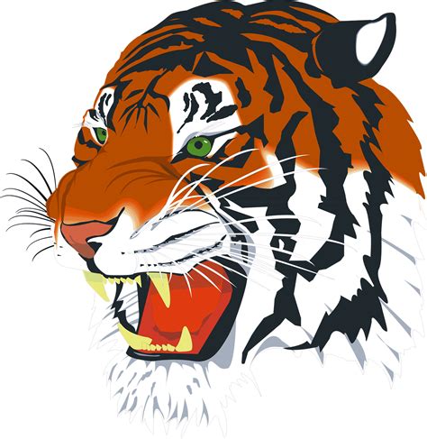 Bengal Tiger Cartoon Png
