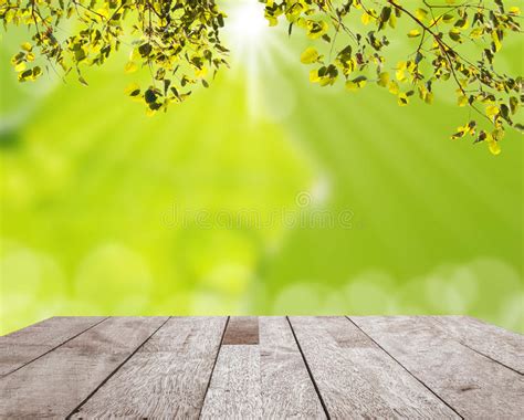 Wood Table Top Green Leaf Light Bokeh Over Light Stock Photos Free