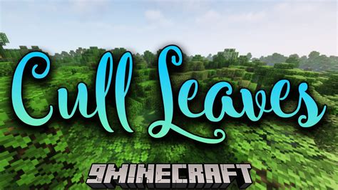 Cull Leaves Mod 1minecraft