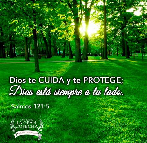 Dios Te Cuida Y Te Protege Dios Está Siempre A Tu Lado Salmos 1215