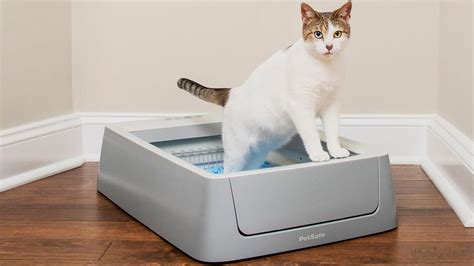 Petsafe Scoopfree Smart Self Cleaning Litterbox Review Toms Guide