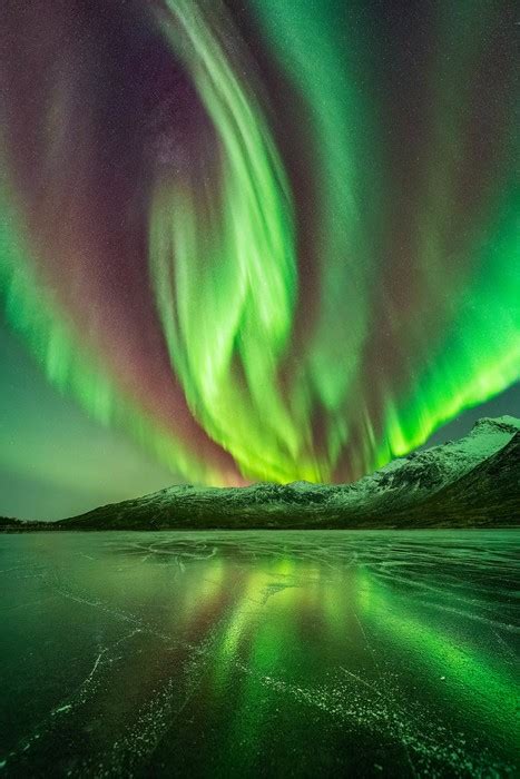 Northern Lights Forecast How To Predict The Aurora Borealis