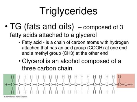 Ppt Chapter 5 The Lipids Powerpoint Presentation Free Download Id