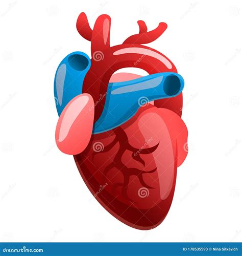 Cardiology Human Heart Icon Cartoon Style Stock Vector Illustration