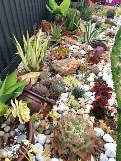 20 Rock Garden With Succulents