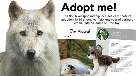 Wolf Conservation Center On Twitter Wolf Conservation Center