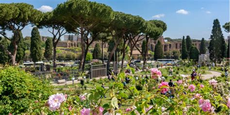 Roseto Comunale Di Roma Apertura E Visite Gratuite Idee Di Viaggio