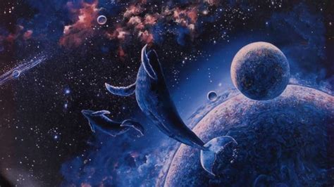 Petition · Nasa Send Whales Into Space ·