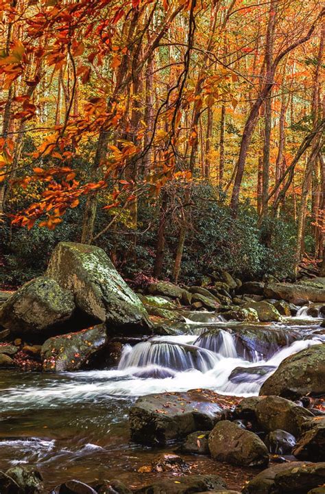 Stream In The Fall Woods Is A Photograph By Barbara Hayton Theres No