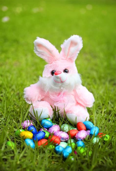 Easter Bunny Rabbit On Grass Stock Image Image Of Candy Metallic