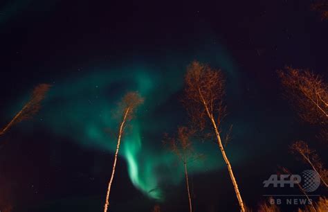 夜空彩るオーロラ、ノルウェー 写真6枚 国際ニュース：afpbb News