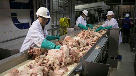 Opinion In About Face Trump Finds Immigrant Meat Packing Workers Essential Times Of San Diego