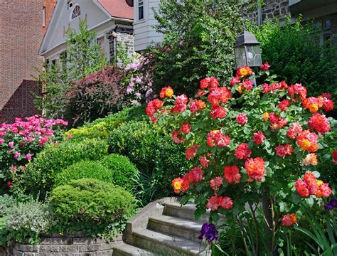 15 Stunning Rose Garden Ideas And Design Tips Tilly Design