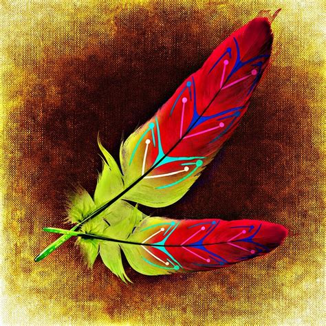 Free Illustration Feather Bird Feathers Abstract Free Image On