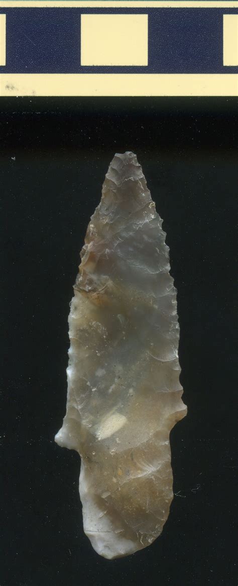 Heres A Close Up Of A Western Stemmed Tradition Projectile Point Found