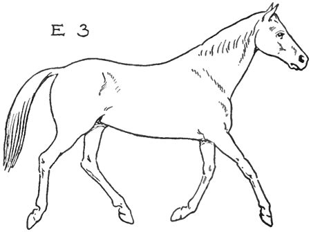 Maybe you would like to learn more about one of these? How To Draw A Horse Running Step By Step