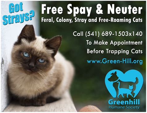 Looking for online definition of tnr or what tnr stands for? Trap Neuter Return Program Update | Greenhill Humane Society