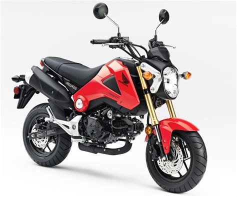 (hpi), the official local distributor of honda motorcycles, touts itself to be the number one motorcycle manufacturer in the country. Top 10 Motorcycles for Beginners