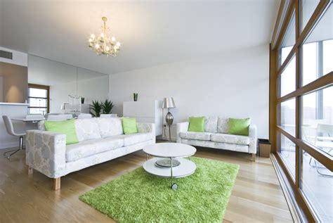 Cool Green Rug In Living Room Interior Design Ideas