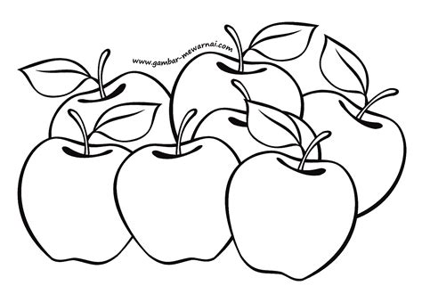 gambar mewarnai buah apel contoh gambar mewarnai