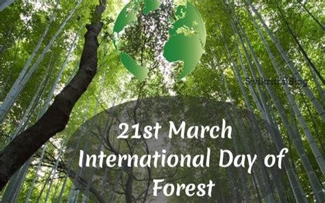 International Day Of Forests 21st March 2023 Theme Forests And Health
