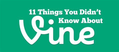 11 Things You Didnt Know About Vine