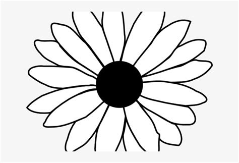 Daisy Flower Outline Template Best Flower Site