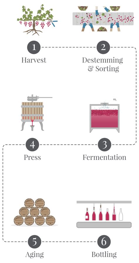 How Wine Is Made Ste Michelle Wine Estates Wine Companion