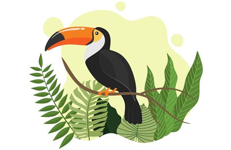 Rainforest Toucan Clipart