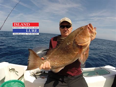 Book a full day fishing trip the forecast was for a windy day but he found several good spots out of the wind and put us on several different types of fish. Grouper Deep Sea Fishing Charters | Fishing Charters St ...