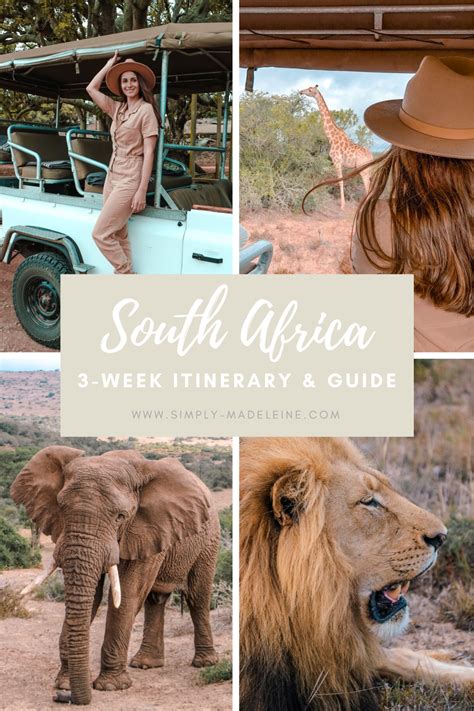3 Week South Africa Itinerary Cape Town And Garden Route Artofit