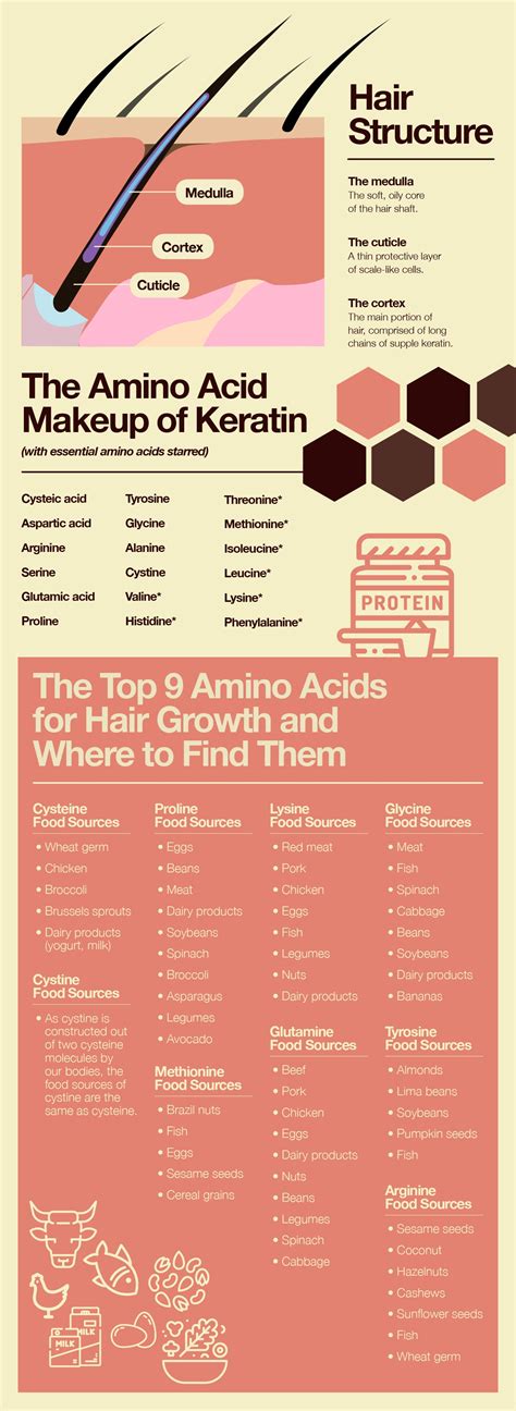 Where To Find The Top Amino Acids For Hair Growth The Amino Company
