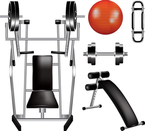Premium Vector Vector Realistic Fitness Ball Equipment Set