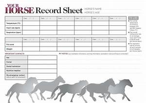 17 Best Images About Horse Documents On Pinterest Cattle Free Horses