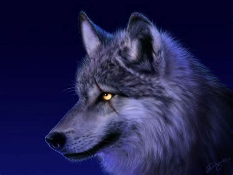 Scar Wolf Cgi Artwork Wolf Wolves Hd Wallpaper Peakpx