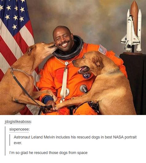 Saving Dogs From Space Imgur