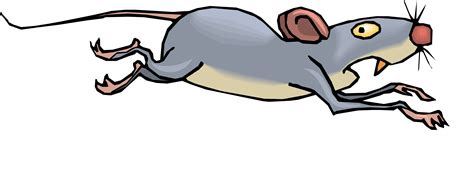 Running Cartoon Mouse Free Images At Clker Com Vector Clip Art