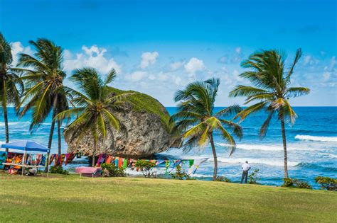 🌴 😎 cheap flights to barbados book now and pay in instalments