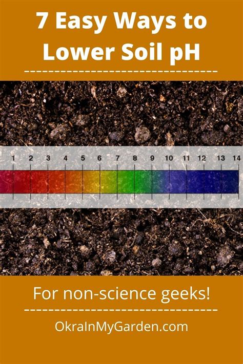 7 Easy Ways To Lower Soil Ph Make It More Acidic Soil Ph Soil