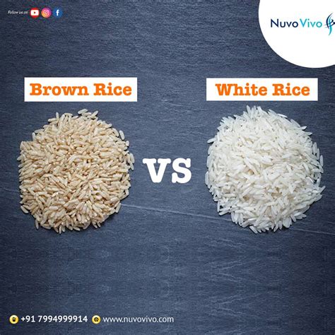 Brown Rice Or White Rice Nuvovivo