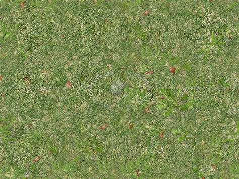 Green Grass Texture Seamless 12980