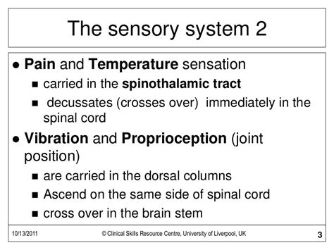 Sensory Examination