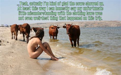 The Cows Nude World Order