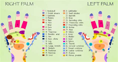 Heres How Reflexology Works Higher Perspective