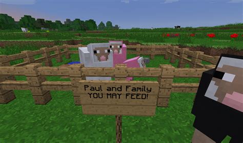 Sheared sheep cannot be dyed until their wool grows back after eating a grass block. Paul The Pink Sheep, He's A Family Man Now [Updated ...