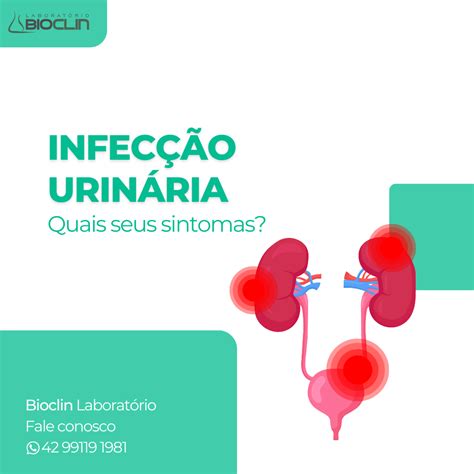 Infecção urinária quais seus sintomas Laboratório Bioclin