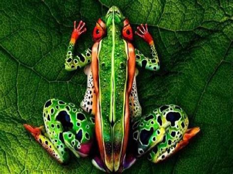 Stunning Nature Inspired Body Arts