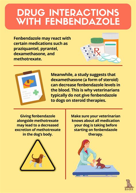 Your Complete Guide To Canine Deworming Using Fenbendazole Bark For More